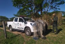 PESCA: Polícia Militar Ambiental explica o que pode e não pode durante o período da piracema