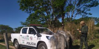 PESCA: Polícia Militar Ambiental explica o que pode e não pode durante o período da piracema