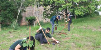 SEMEA realiza plantio de 53 mudas em área verde do Higienópolis