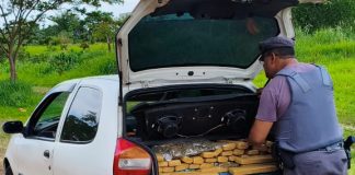 Polícia Rodoviária e FICCO/SP prendem casal com quase 394 kg de entorpecentes em Teodoro Sampaio