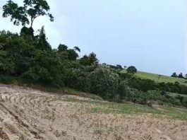 Arrendatário é multado em quase R$ 4 mil por intervenção irregular em área ambiental em Anhumas