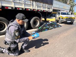 Polícia Rodoviária apreende caminhão com quase 140 kg de cocaína na Raposo Tavares