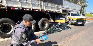 Polícia Rodoviária apreende caminhão com quase 140 kg de cocaína na Raposo Tavares