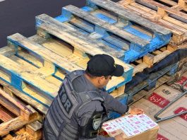 Polícia Rodoviária apreende 350 mil maços de cigarros na Rodovia Assis Chateaubriand e prende motorista