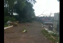 ASSISTA: Tornado misterioso derruba dezenas de árvores apenas dentro do cemitério de Teodoro Sampaio