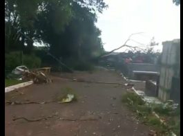 ASSISTA: Tornado misterioso derruba dezenas de árvores apenas dentro do cemitério de Teodoro Sampaio