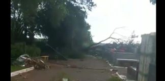 ASSISTA: Tornado misterioso derruba dezenas de árvores apenas dentro do cemitério de Teodoro Sampaio