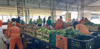 Prefeitura abre chamada pública para produtores rurais interessados em participar do PAA