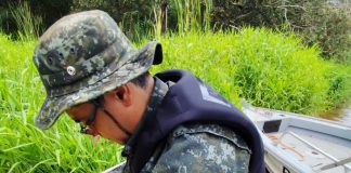 Homem de 54 anos é multado por pescar camarão na piracema em barranco do rio Paraná