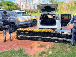 Casal é preso com mais de 420 kg de maconha em rodovia de Presidente Bernardes