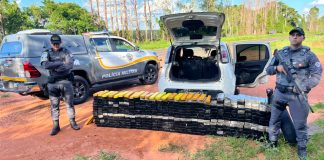 Casal é preso com mais de 420 kg de maconha em rodovia de Presidente Bernardes