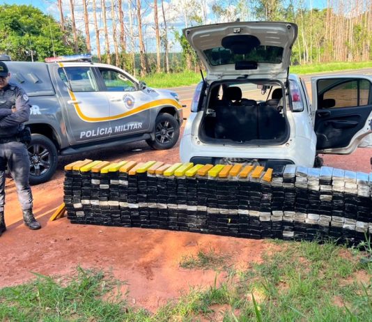 Casal é preso com mais de 420 kg de maconha em rodovia de Presidente Bernardes