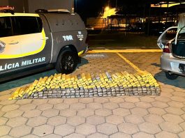 PM Rodoviária e FICCO prendem traficante com quase 300 kg de maconha em rodovia de Mirante do Paranapanema