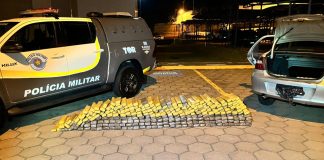 PM Rodoviária e FICCO prendem traficante com quase 300 kg de maconha em rodovia de Mirante do Paranapanema
