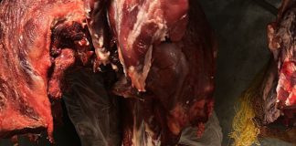 Polícia Civil apreende carne imprópria para consumo em Pirapozinho