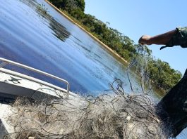Polícia Ambiental apreende 4 mil metros de redes de pesca irregulares durante Operação Piracema em Presidente Epitácio