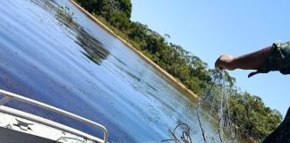 Polícia Ambiental apreende 4 mil metros de redes de pesca irregulares durante Operação Piracema em Presidente Epitácio