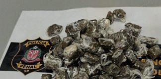 Polícia Penal impediu a entrada de 30 Kg de drogas e 36 celulares nos presídios do Oeste Paulista em 2025