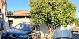 Polícia Civil prende quatro suspeitos de comandar “tribunal do crime” em Presidente Prudente