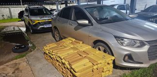 Polícia Rodoviária apreende mais de 440 kg de maconha e prende traficante em rodovia de Rosana