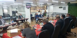 Vereadores aprovam Projeto de Lei autorizando repasse de recursos às escolas de samba prudentinas