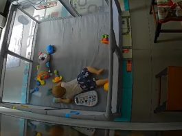 Escorpiões caem de ar-condicionado e assustam família com bebê em Presidente Venceslau