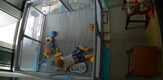 Escorpiões caem de ar-condicionado e assustam família com bebê em Presidente Venceslau