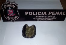 Mulher de detento é flagrada com maconha na vagina o tentar entrar na Penitenciária de Pacaembu