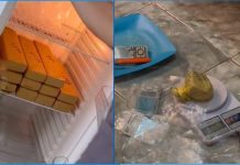 Polícia Militar encontra droga na geladeira e pistola 9mm municiada em apartamento do Jardim Estoril