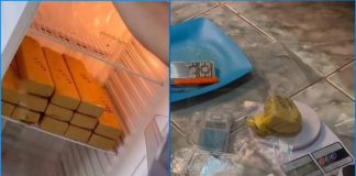 Polícia Militar encontra droga na geladeira e pistola 9mm municiada em apartamento do Jardim Estoril