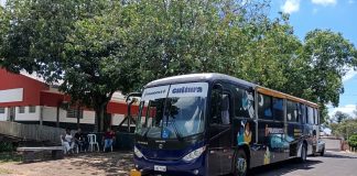 Início do Projeto Férias na Cultura conta com atividades no Matarazzo e nos distritos