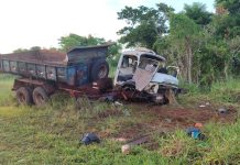 Motorista e passageiro morrem em acidente com ataque de enxame de abelhas