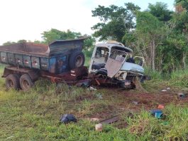 Motorista e passageiro morrem em acidente com ataque de enxame de abelhas