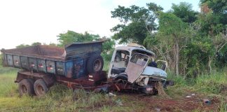 Motorista e passageiro morrem em acidente com ataque de enxame de abelhas