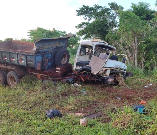 Motorista e passageiro morrem em acidente com ataque de enxame de abelhas