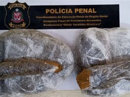 Droga é apreendida pela Polícia Penal com mãe de detento na Penitenciária de Presidente Bernardes