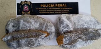 Droga é apreendida pela Polícia Penal com mãe de detento na Penitenciária de Presidente Bernardes