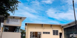 Governo de SP investe R$ 40 milhões para criar novos centros de reabilitação de animais silvestres