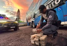 Polícia Rodoviária prende boliviana com mais de 15 quilos de cocaína em ônibus na Raposo Tavares