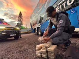 Polícia Rodoviária prende boliviana com mais de 15 quilos de cocaína em ônibus na Raposo Tavares