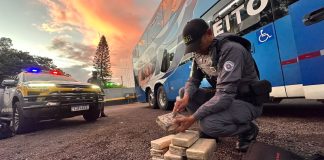 Polícia Rodoviária prende boliviana com mais de 15 quilos de cocaína em ônibus na Raposo Tavares