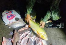 Homens são multados por pesca ilegal no Rio Aguapeí, em Lucélia