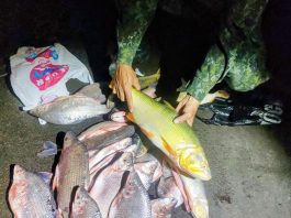 Homens são multados por pesca ilegal no Rio Aguapeí, em Lucélia