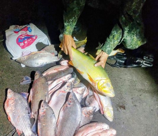 Homens são multados por pesca ilegal no Rio Aguapeí, em Lucélia