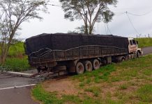 Carreta perde o controle e atinge poste no Humberto Salvador