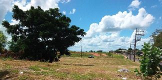 Leilão de 76 terrenos da Prefeitura foi realizado nesta quinta-feira em Presidente Prudente