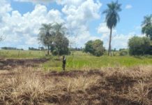 Homem é multado em R$ 1,2 mil por queimada em área rural de Euclides da Cunha Paulista