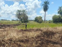 Homem é multado em R$ 1,2 mil por queimada em área rural de Euclides da Cunha Paulista