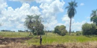 Homem é multado em R$ 1,2 mil por queimada em área rural de Euclides da Cunha Paulista