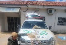 Polícia Ambiental multa pescadores em R$ 3,2 mil e apreende 32 kg de peixes no Rio Aguapeí